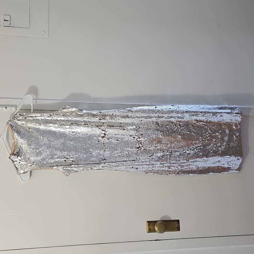 Zara Fitting Silver Sequence Dress